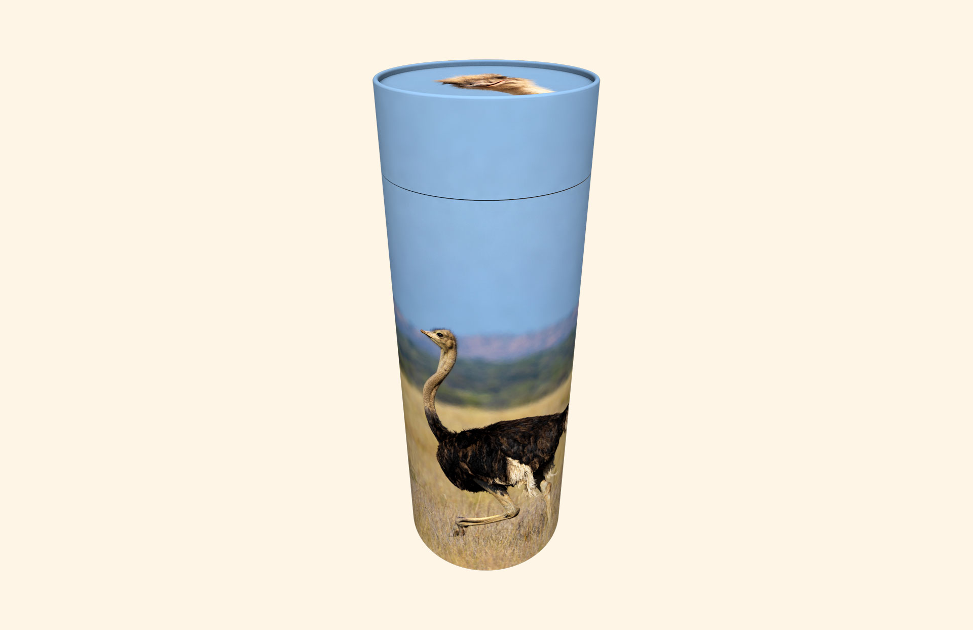 Ostrich Race adult scatter tube